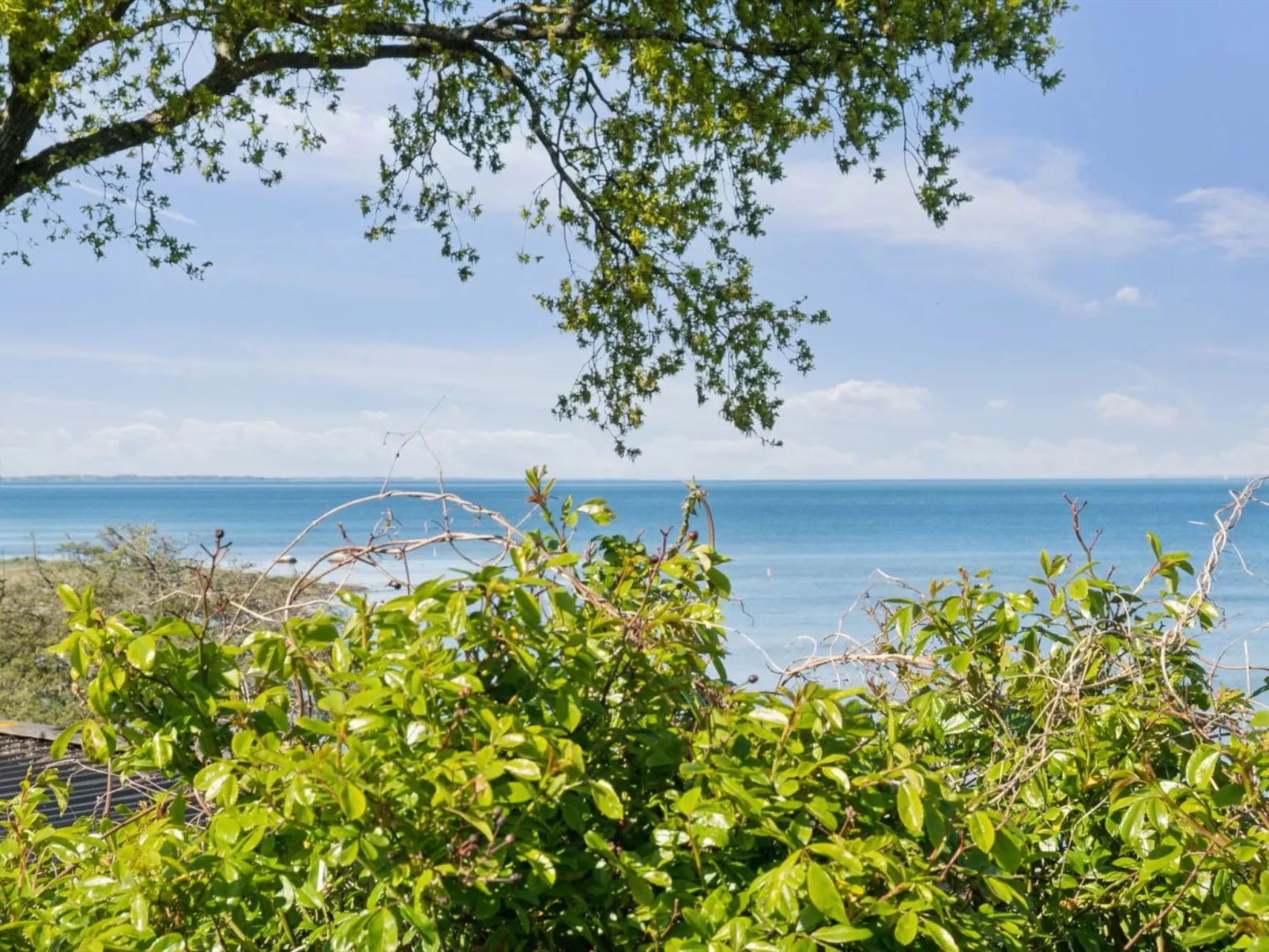 "Titta" - 10m to the fjord-Outside