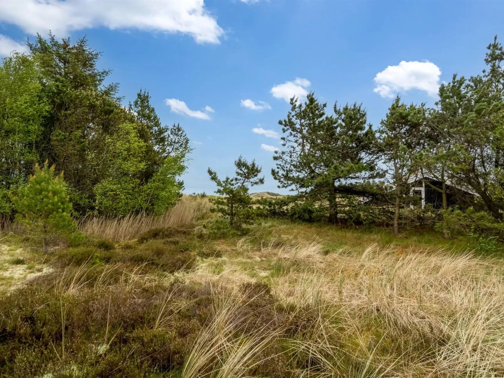 "Kimi" - 75m from the sea-Draußen