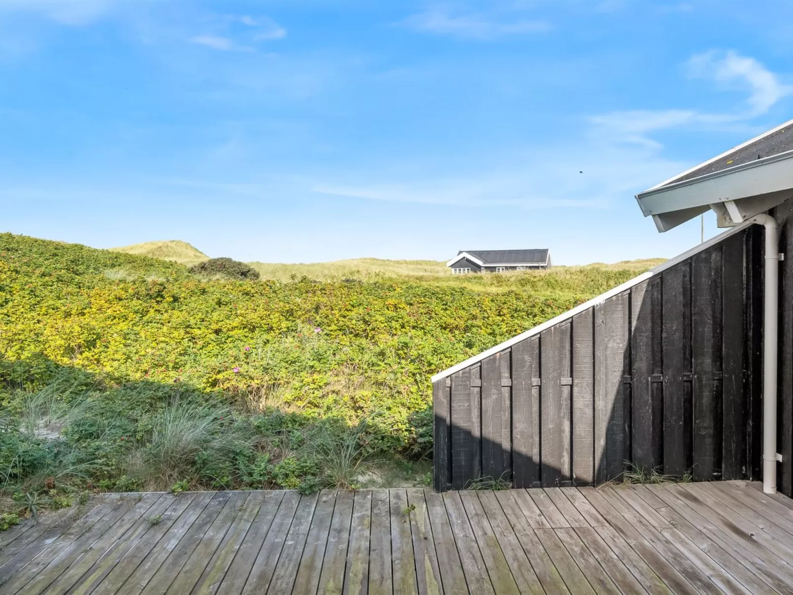 "Heralde" - 60m from the sea-Outside