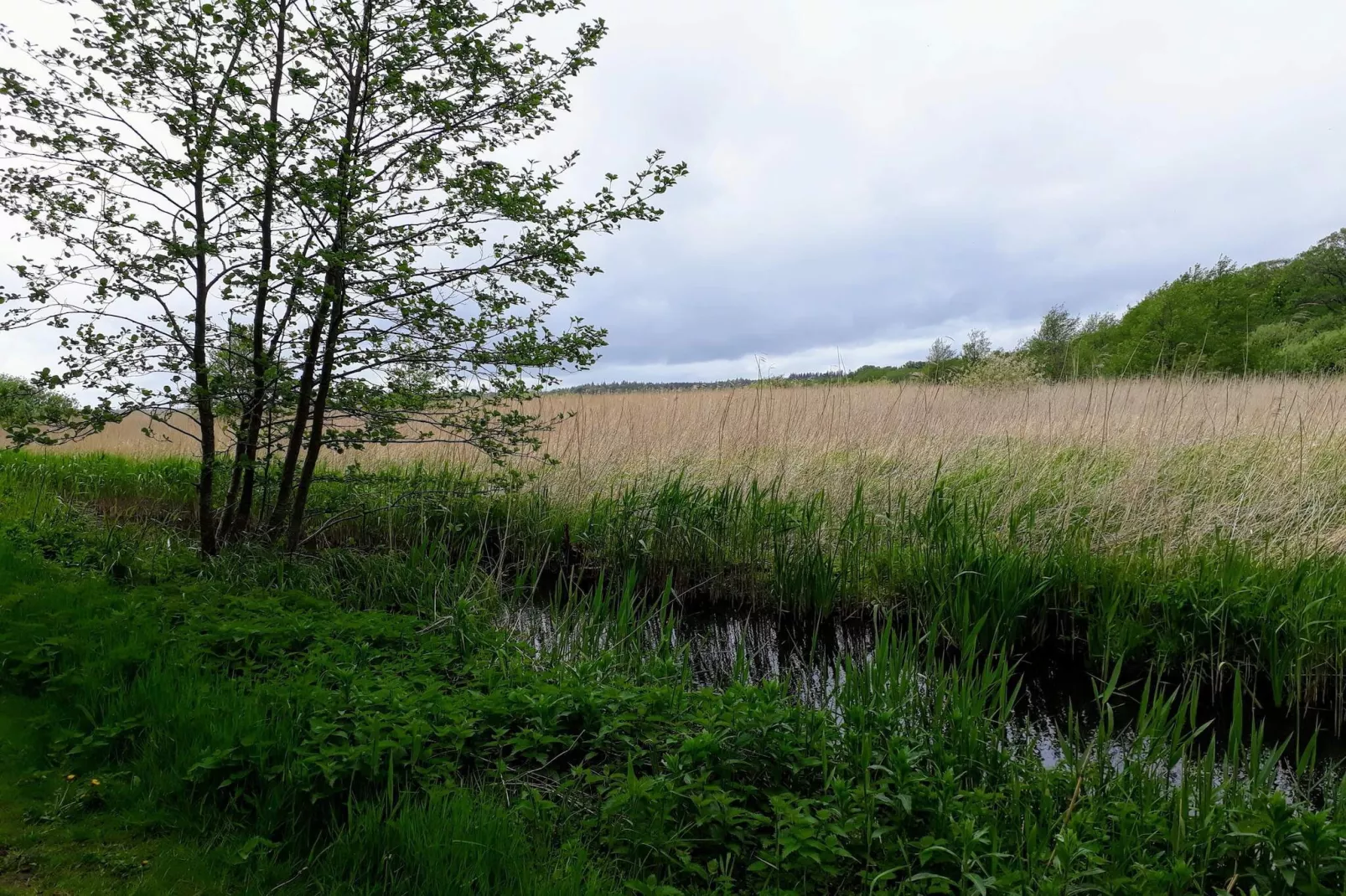Peaceful Cabin Retreat in Ebeltoft-Untagged