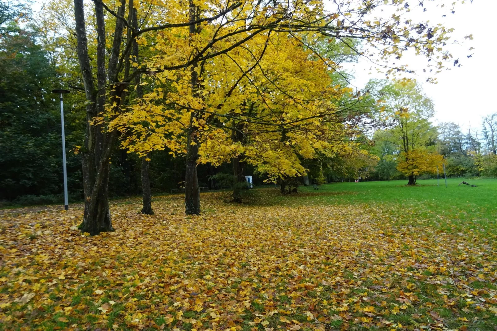 Luxus Appartement / 6 Personen-Areas within 5km in summer