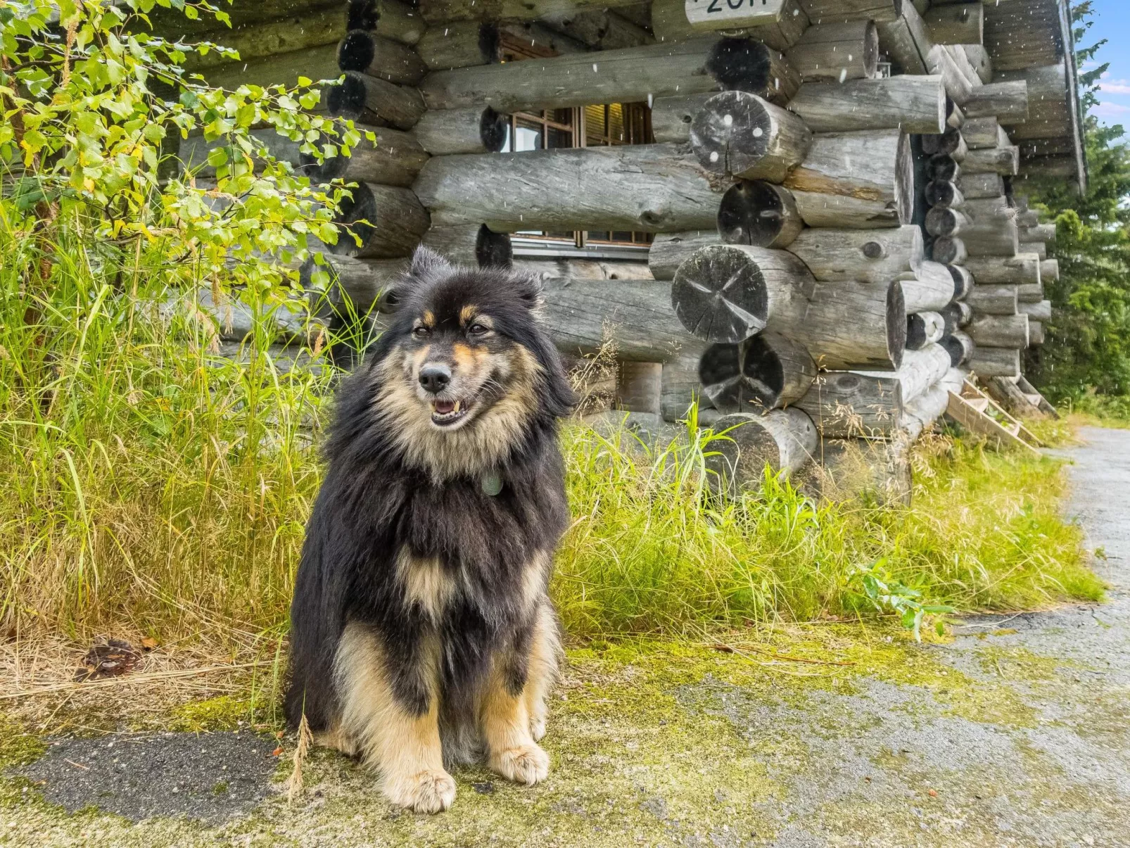 Vilkkuna 20 a-Inside