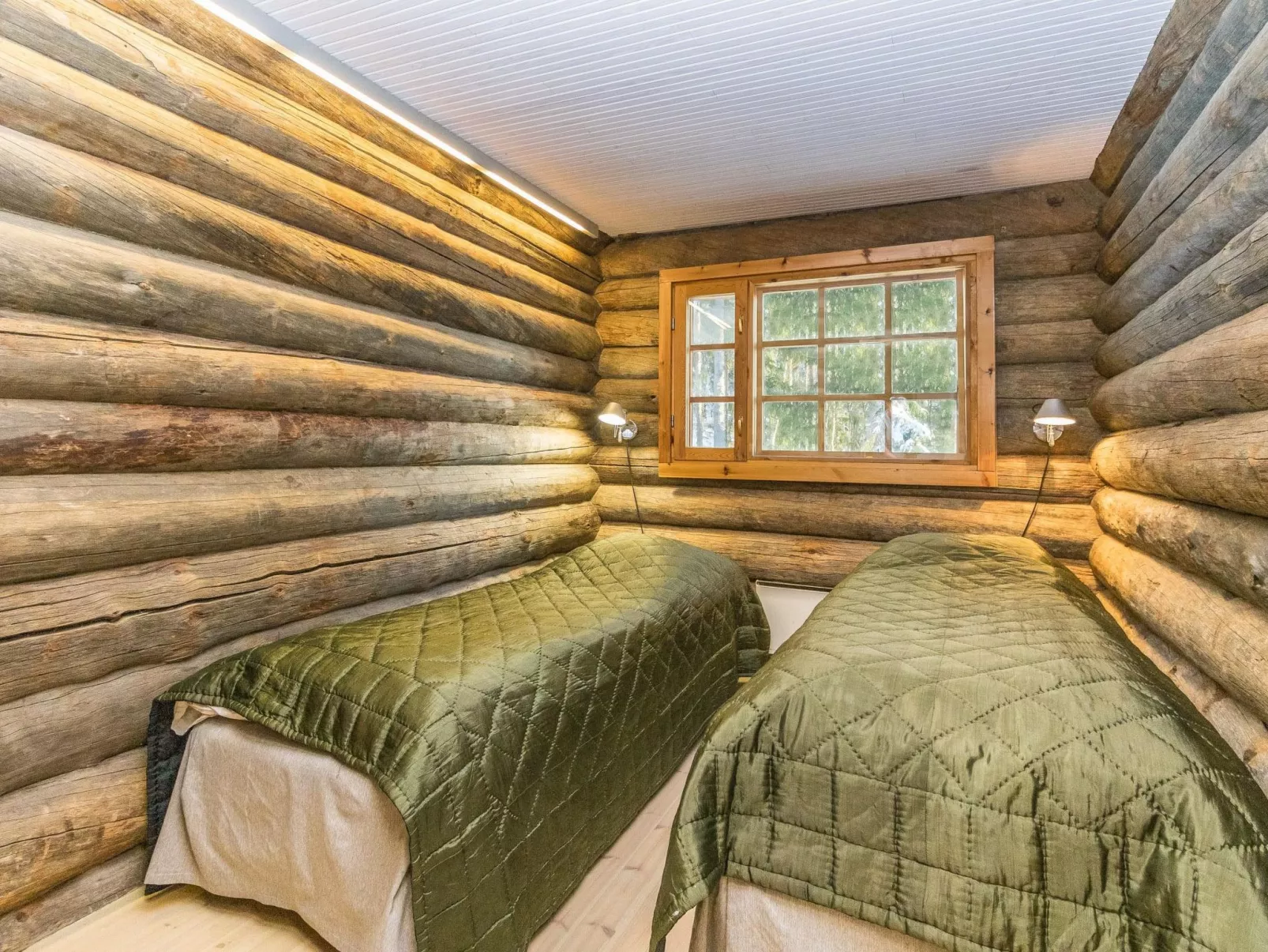 Kaasavuoren ranta-Dedans