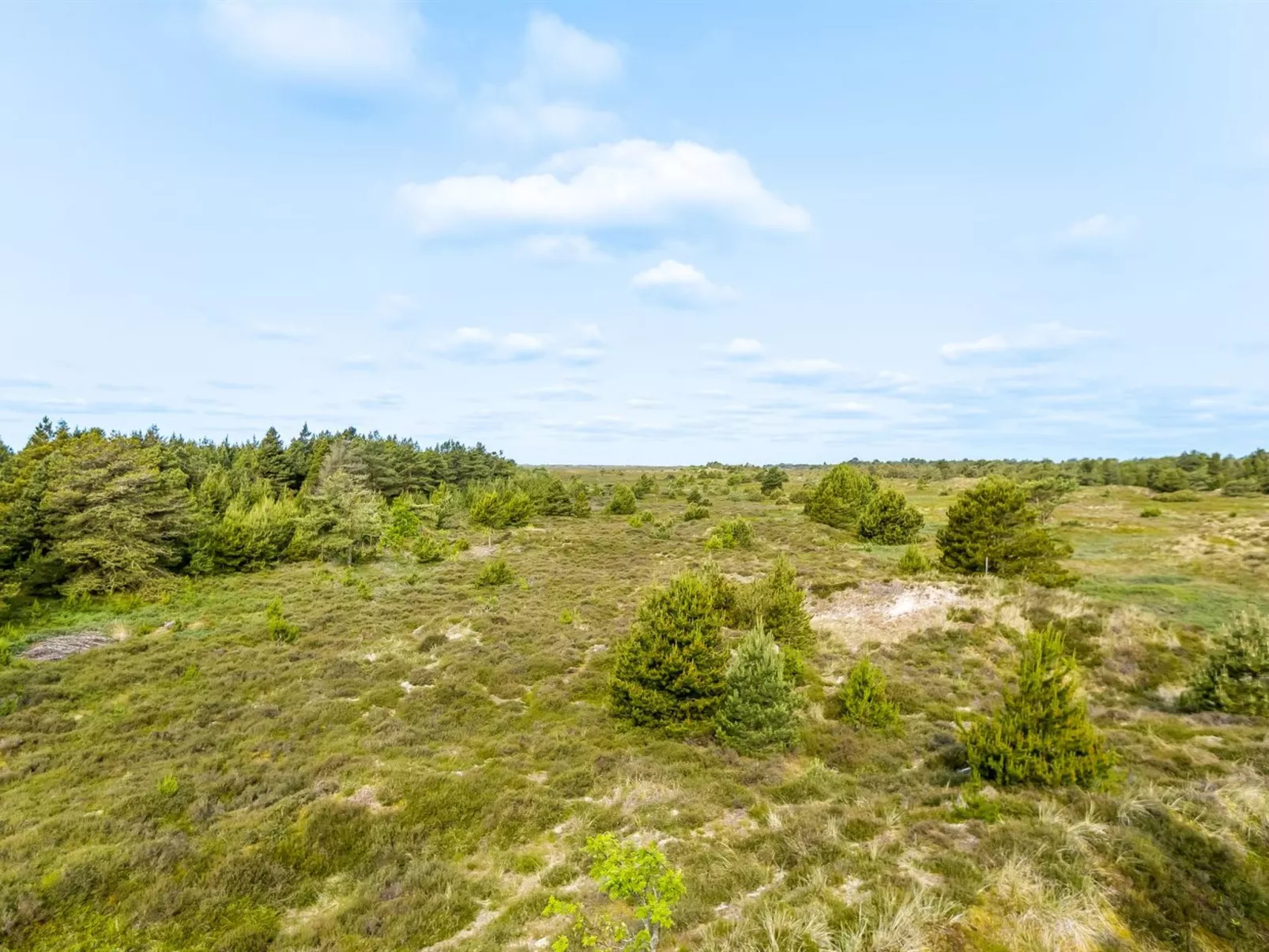 "Ibbe" - 3.5km from the sea-Draußen