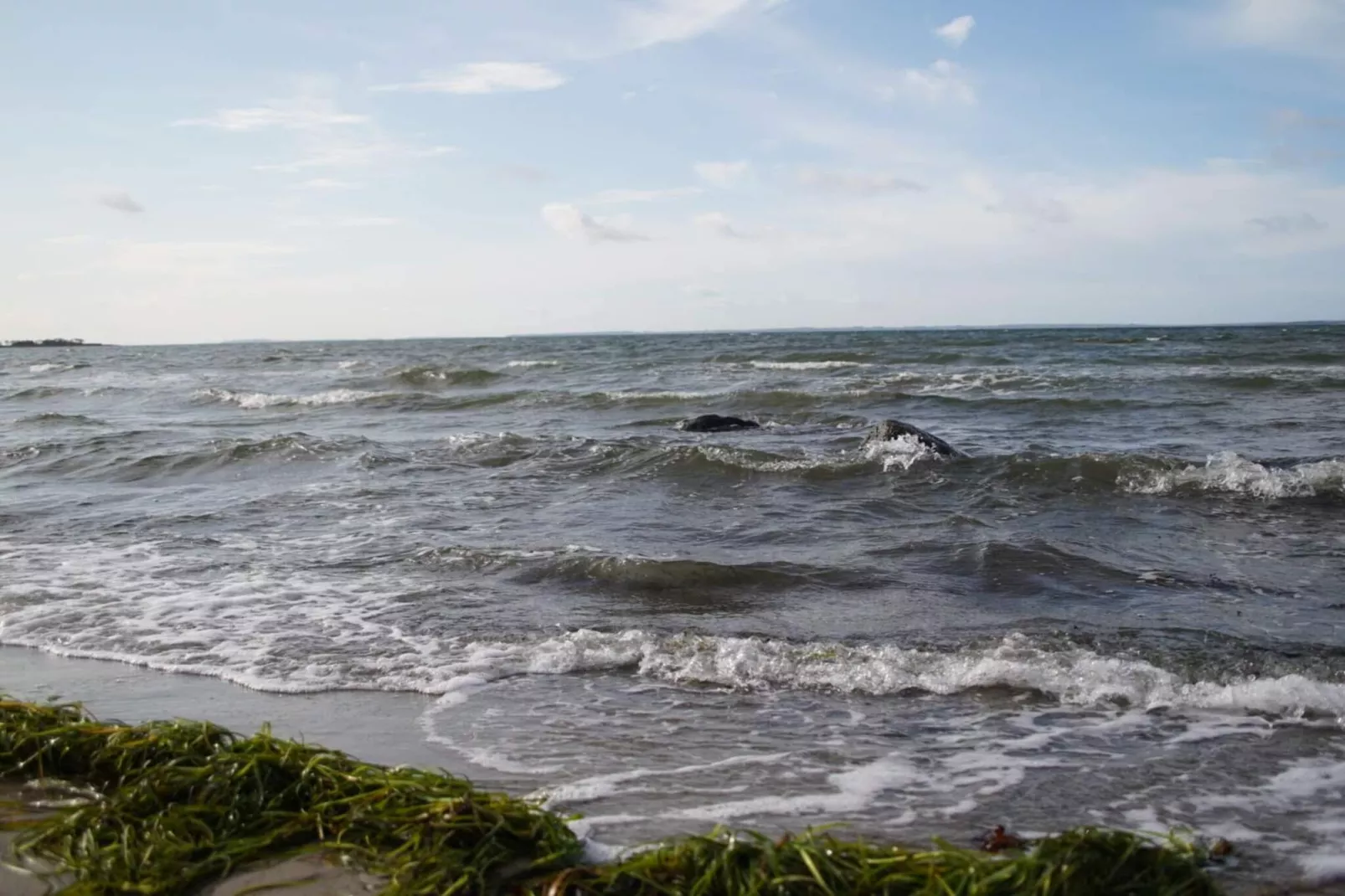 8 person holiday home in Jægerspris - Water view