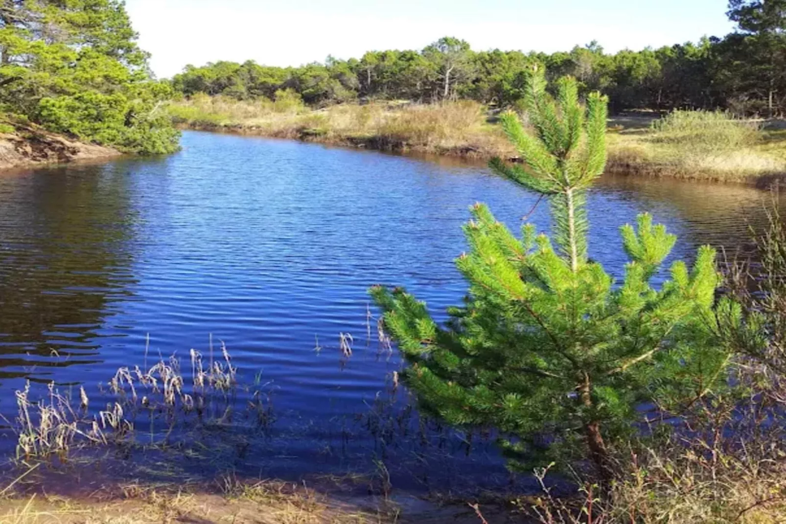4 star holiday home in Ålbæk-Water view