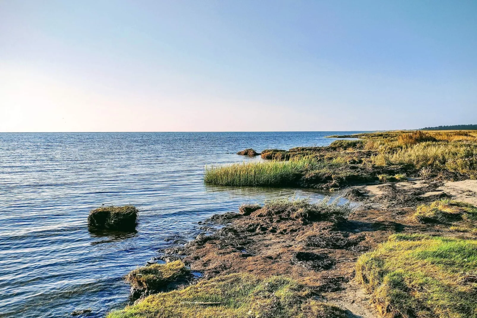 4 Sterne Ferienhaus in Hals-Wasserblick