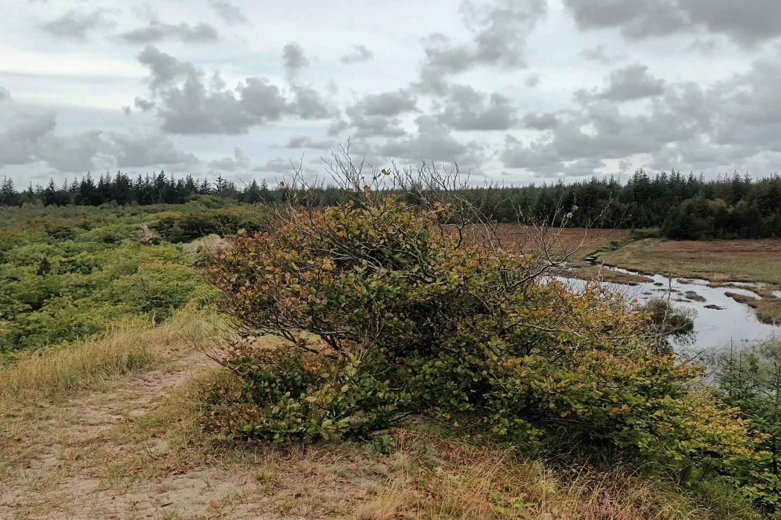 Maison de vacances pour 5 a Snedsted-Vue sur l'eau