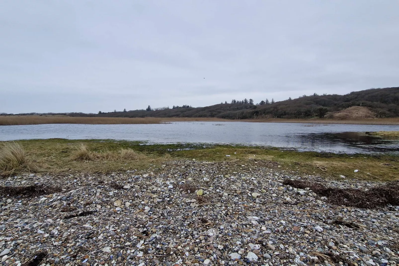 4 star holiday home in Spøttrup-Water view