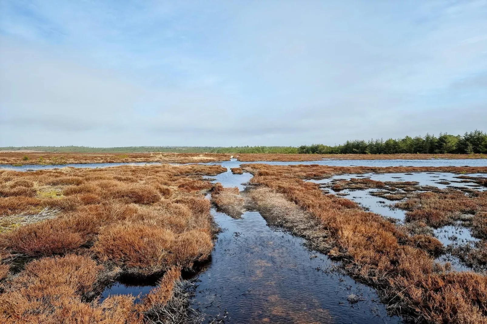 5-Sterne-Ferienhaus in Henne Beach