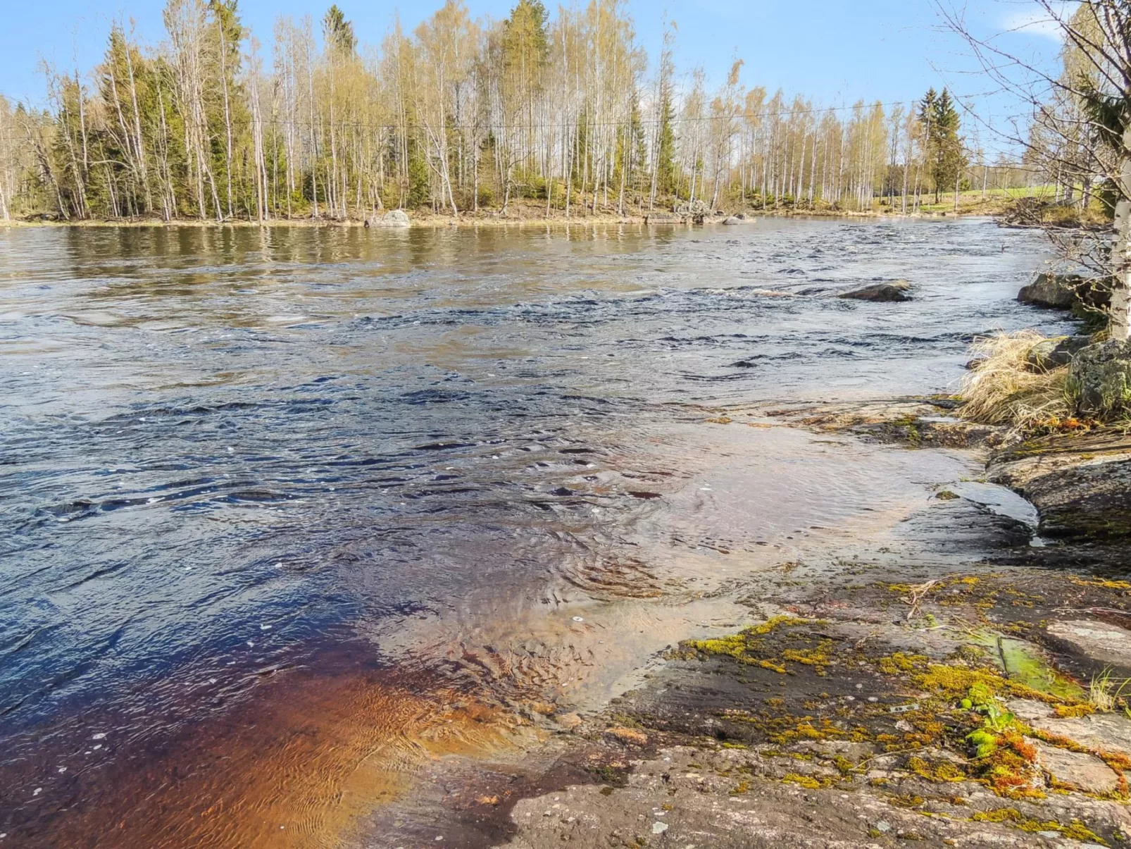 Käpälysmökki-Dedans