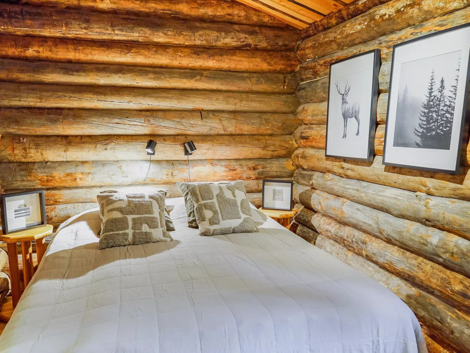 Rantaruka 4 d 2-Dedans