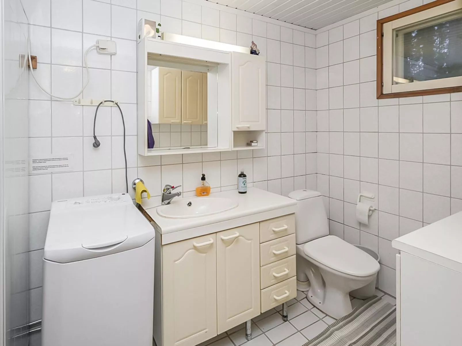 Saapunkijärvi, pitkäperä-Dedans