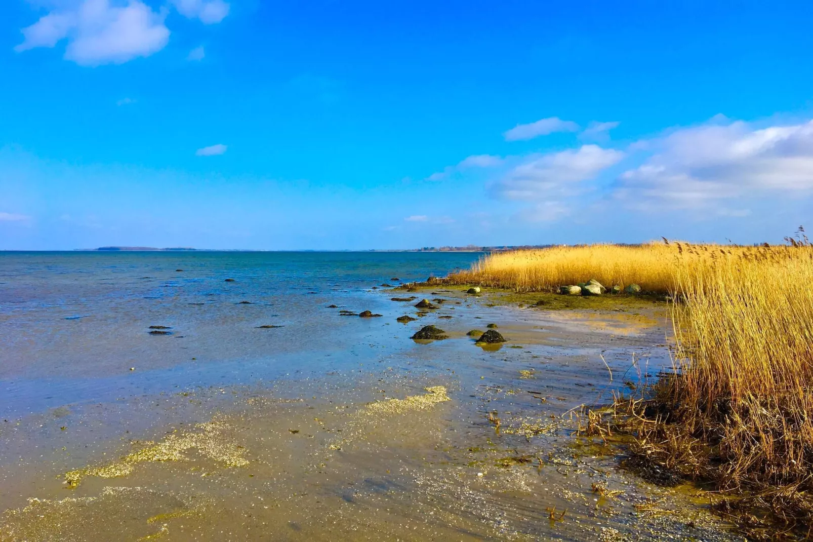 6 Personen Ferienhaus in Bogø By-Wasserblick