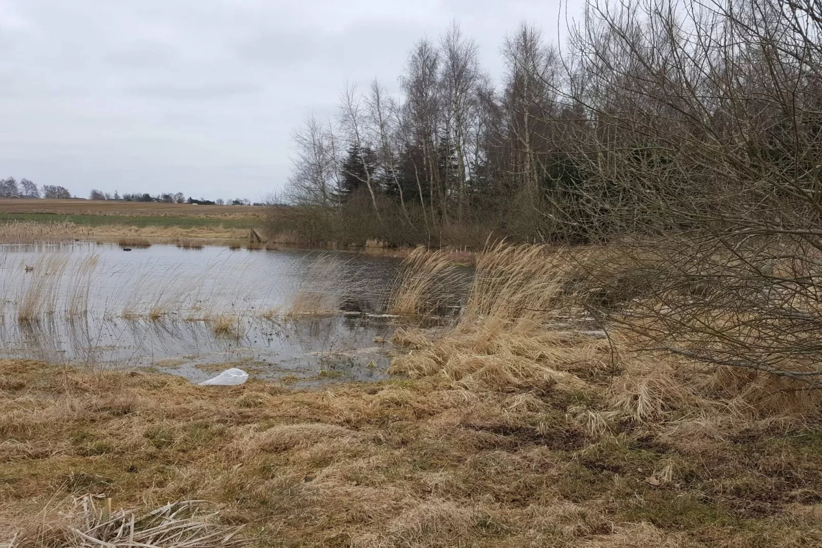 4 etoiles maison de vacances a Jægerspris-Vue sur l'eau