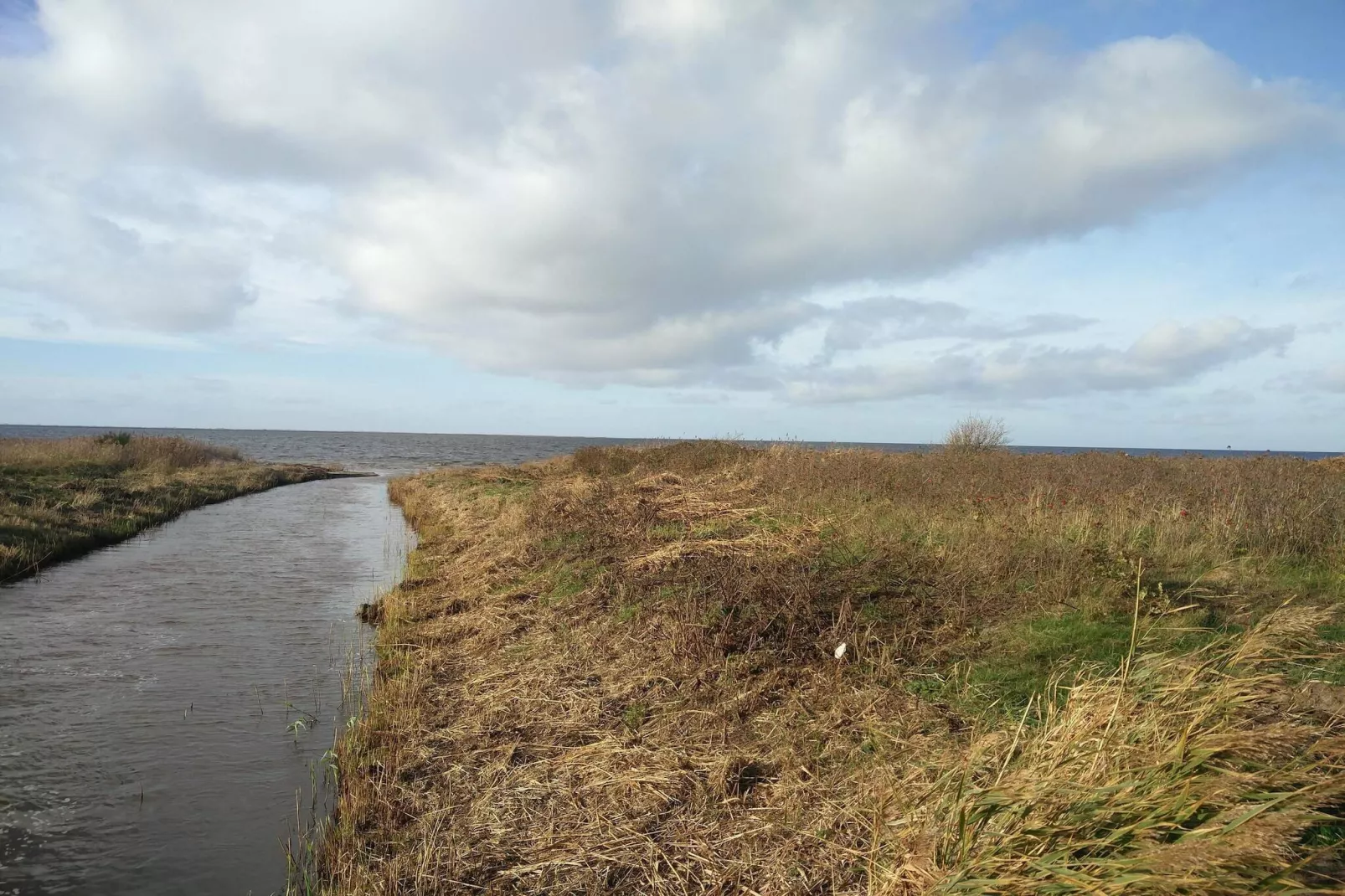 0 Personen Ferienhaus in Hemmet-Wasserblick