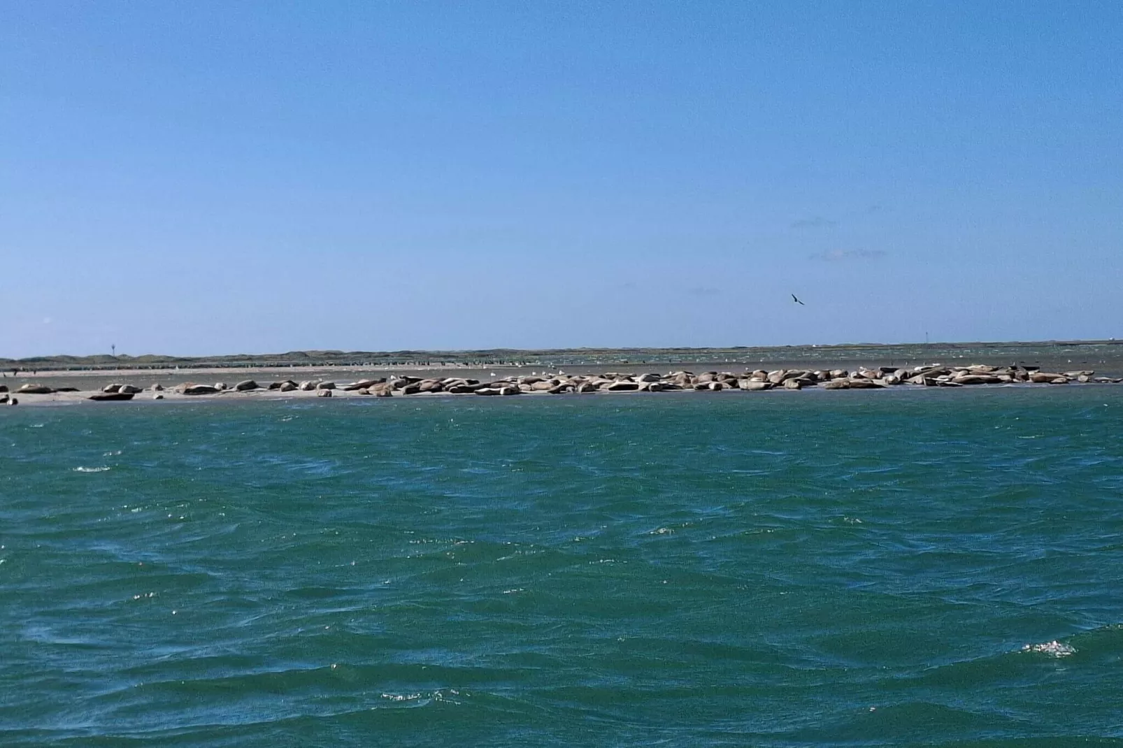 4 etoiles maison de vacances a Thyborøn-Vue sur l'eau