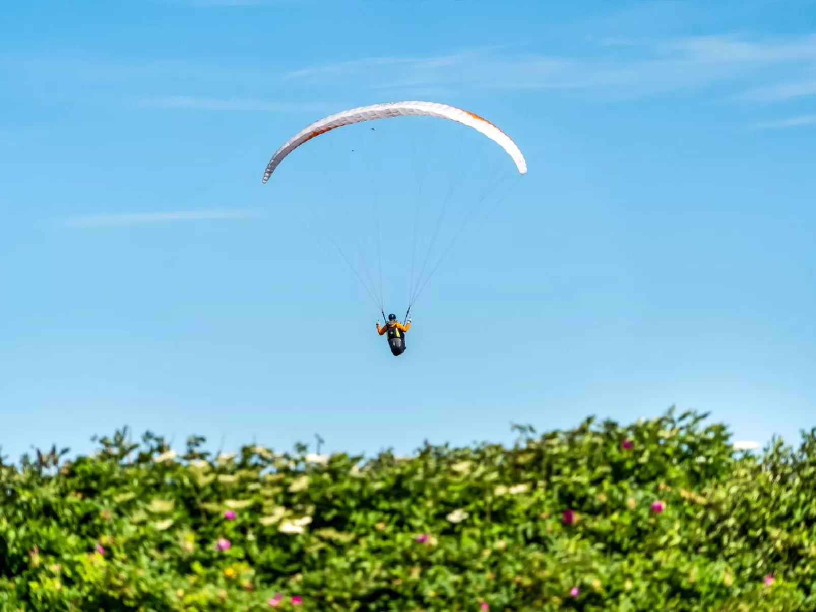 "Leonard" - 130m from the sea-Dehors
