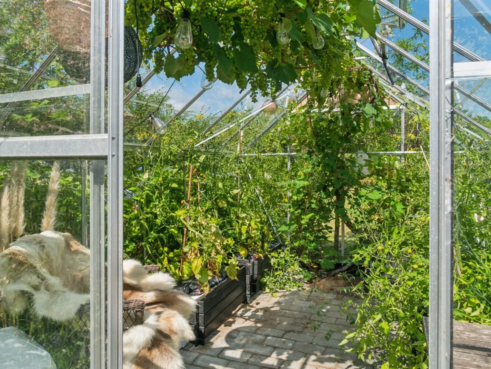 "Botwith" - 125m from the sea-Dehors