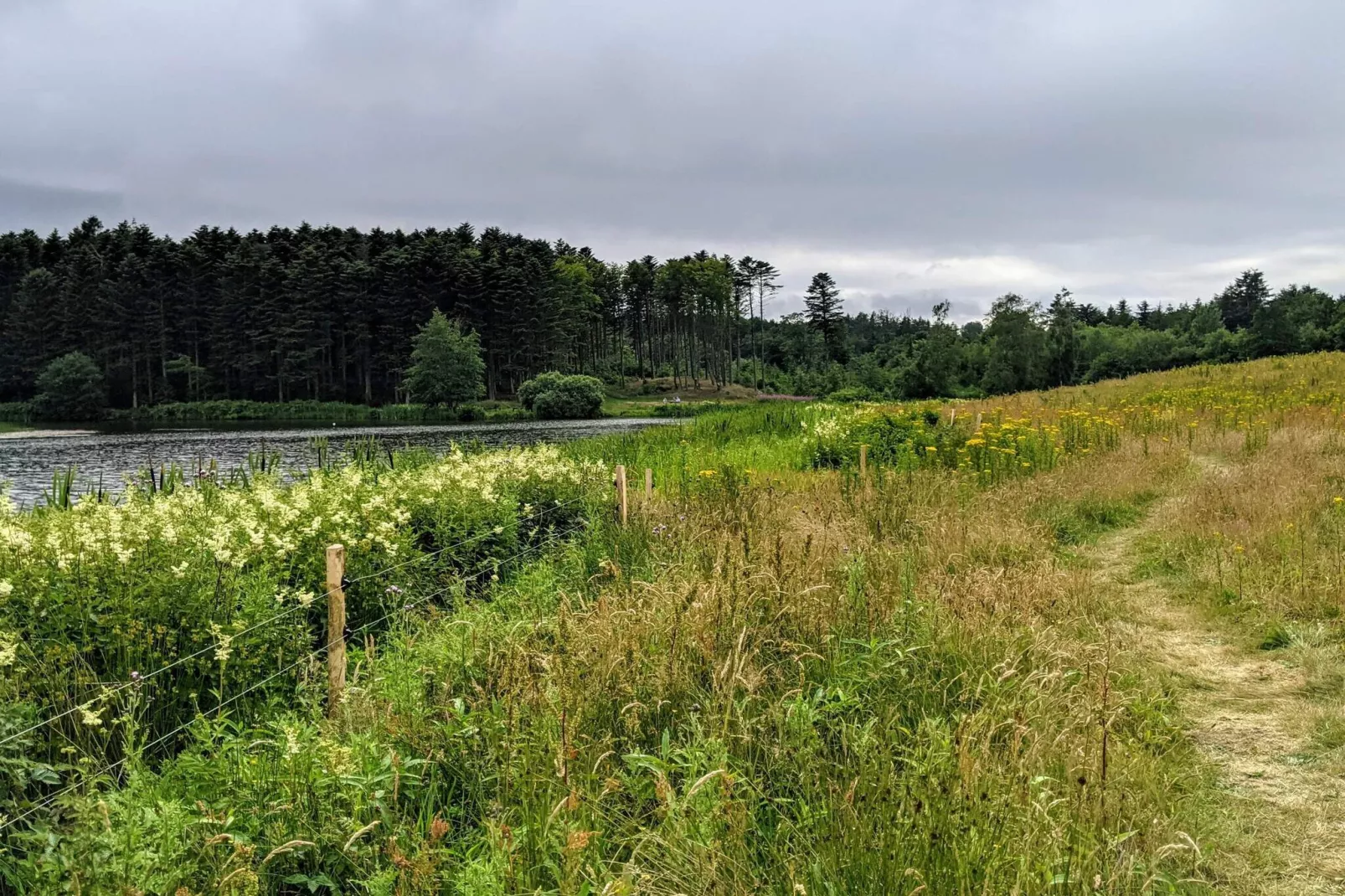 4 etoiles maison de vacances a Brønderslev-Non tagué
