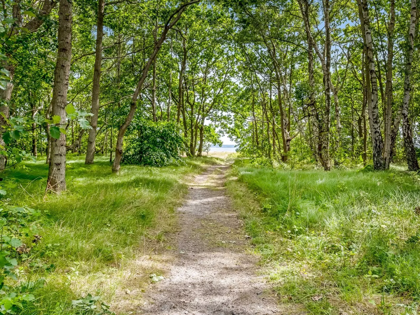 "Jyrki" - 100m from the sea-Dehors