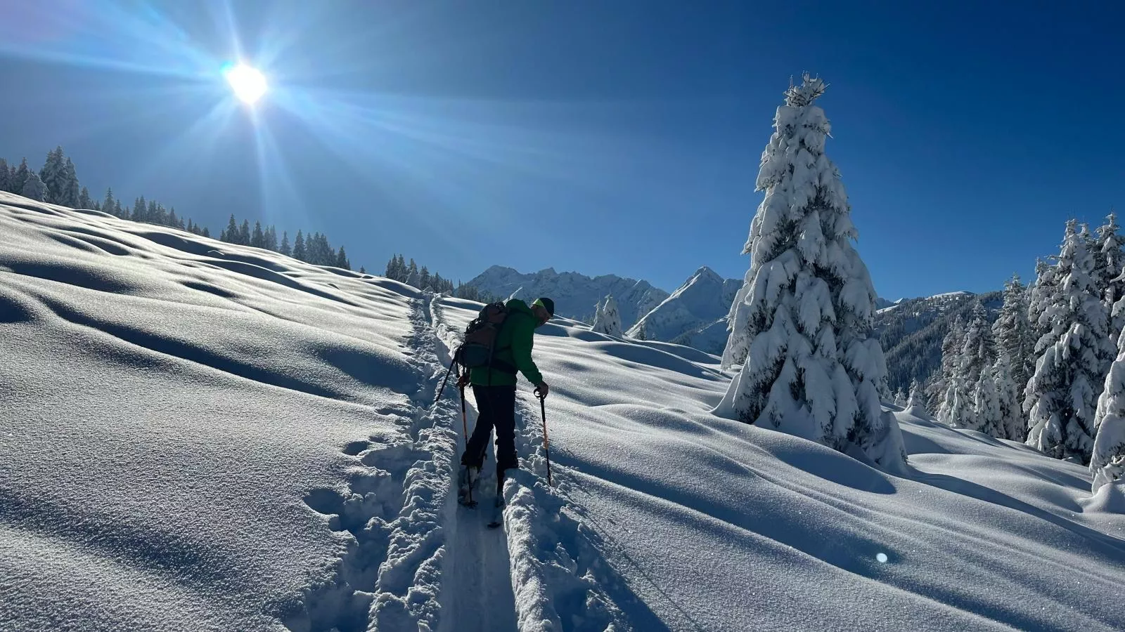 Kaiser-Area within 5km in winter