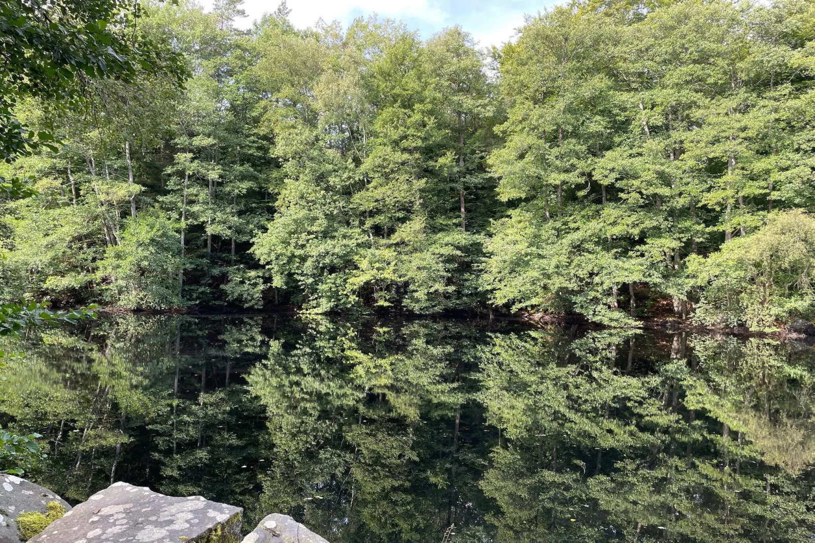 5 person holiday home in Immeln-Untagged