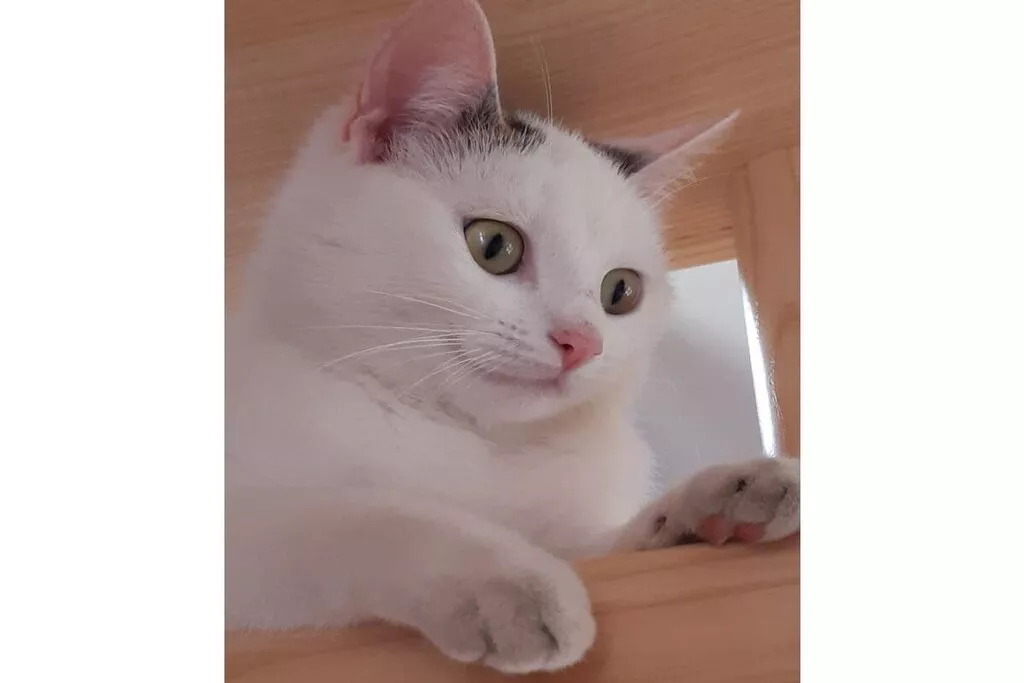 27350-Nicht zugeordnet