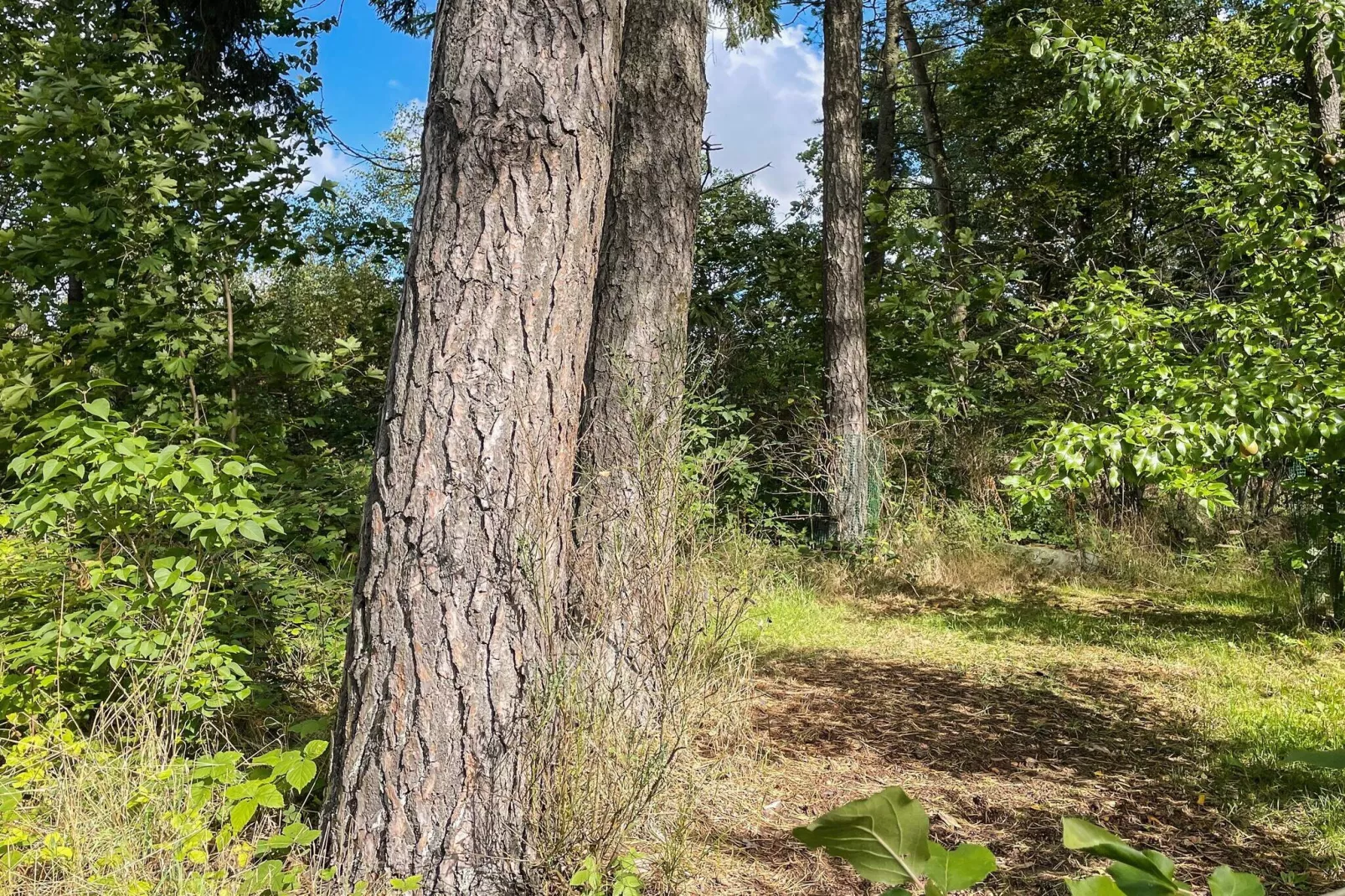 Maison de vacances pour 4 a SMEDSTORP