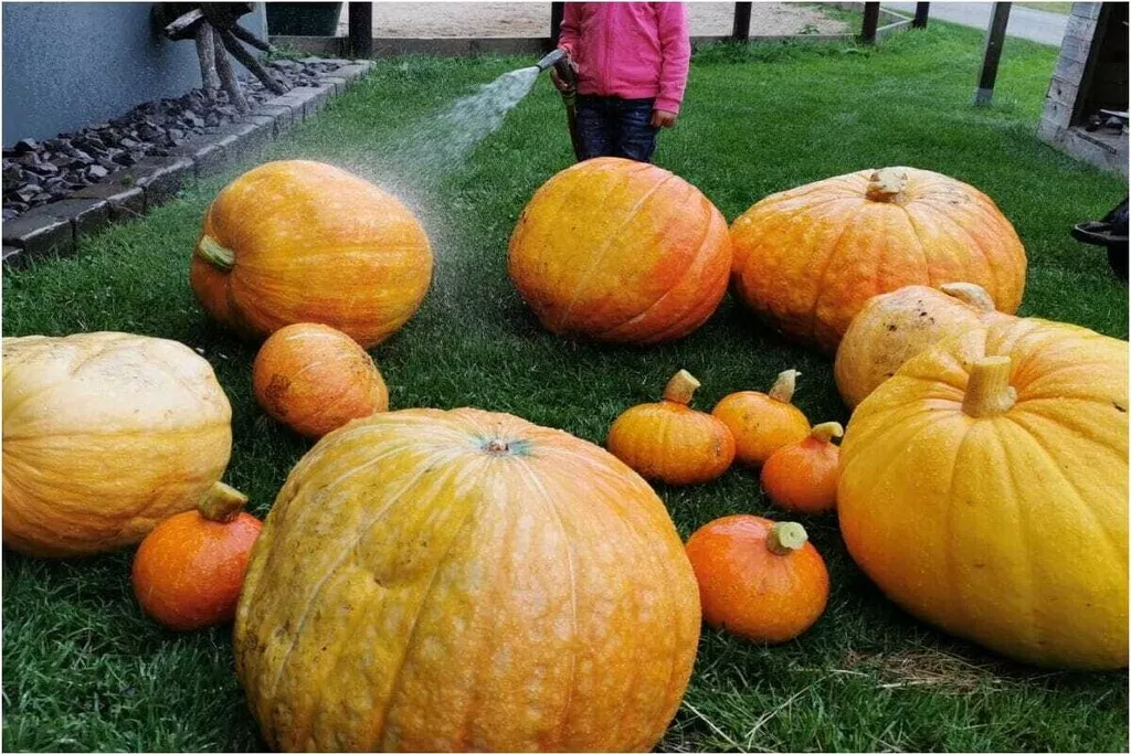 137960-Nicht zugeordnet