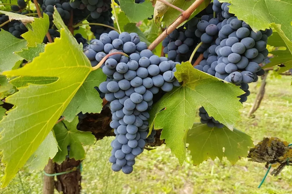 539356-Nicht zugeordnet