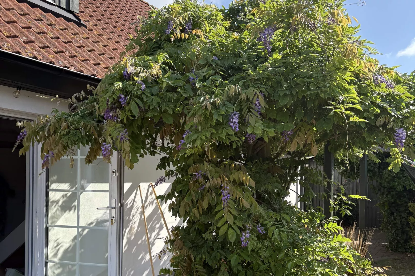 5 etoiles maison de vacances a Löderup-Extérieur