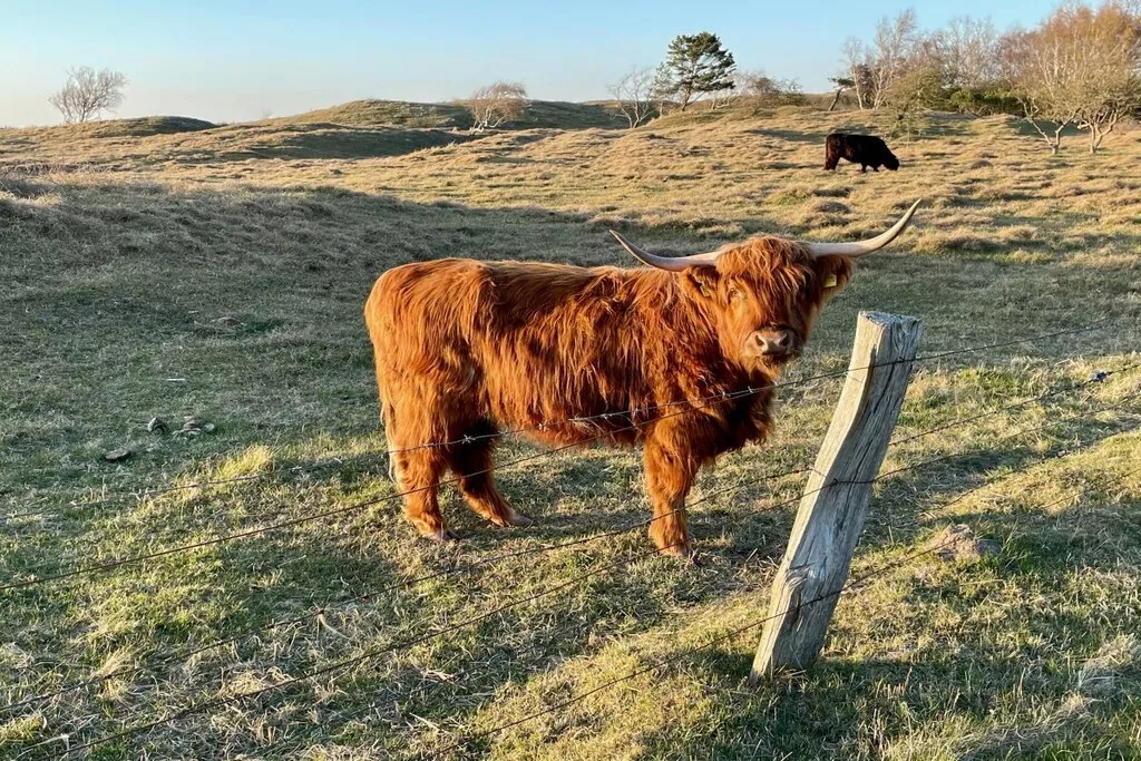 581116-Nicht zugeordnet