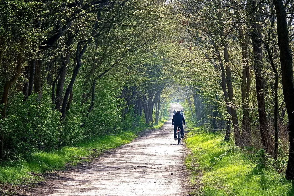 189882-Nicht zugeordnet