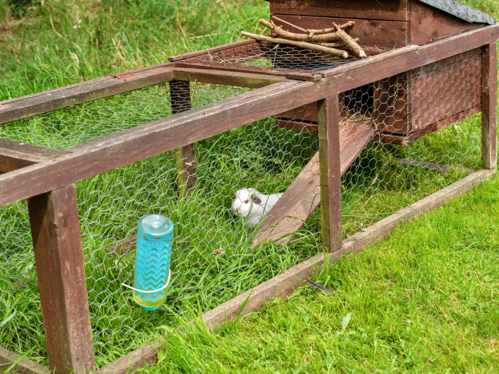 Oak Lotus Belle Tent-Dehors