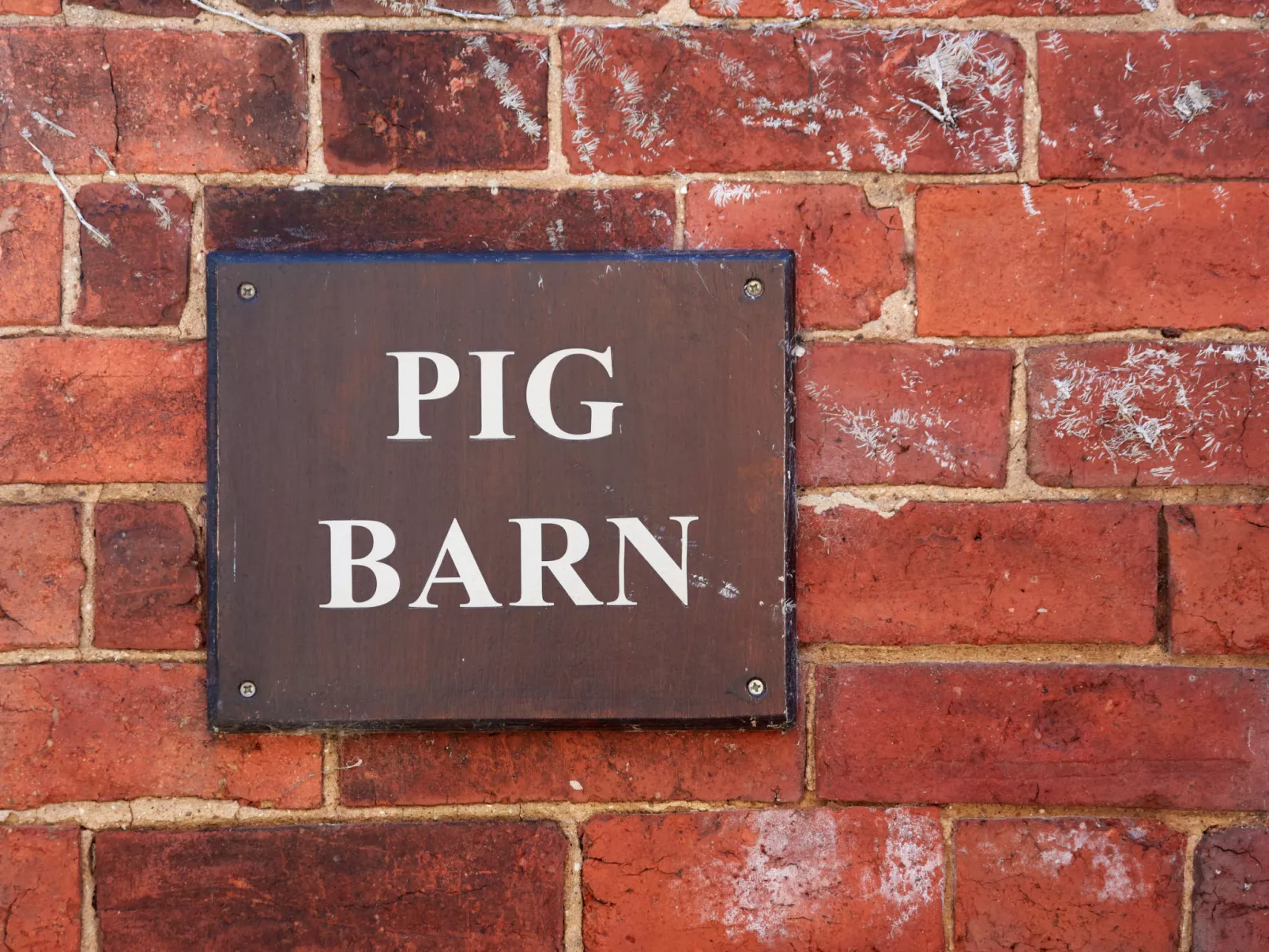The Pig Barn-Dehors