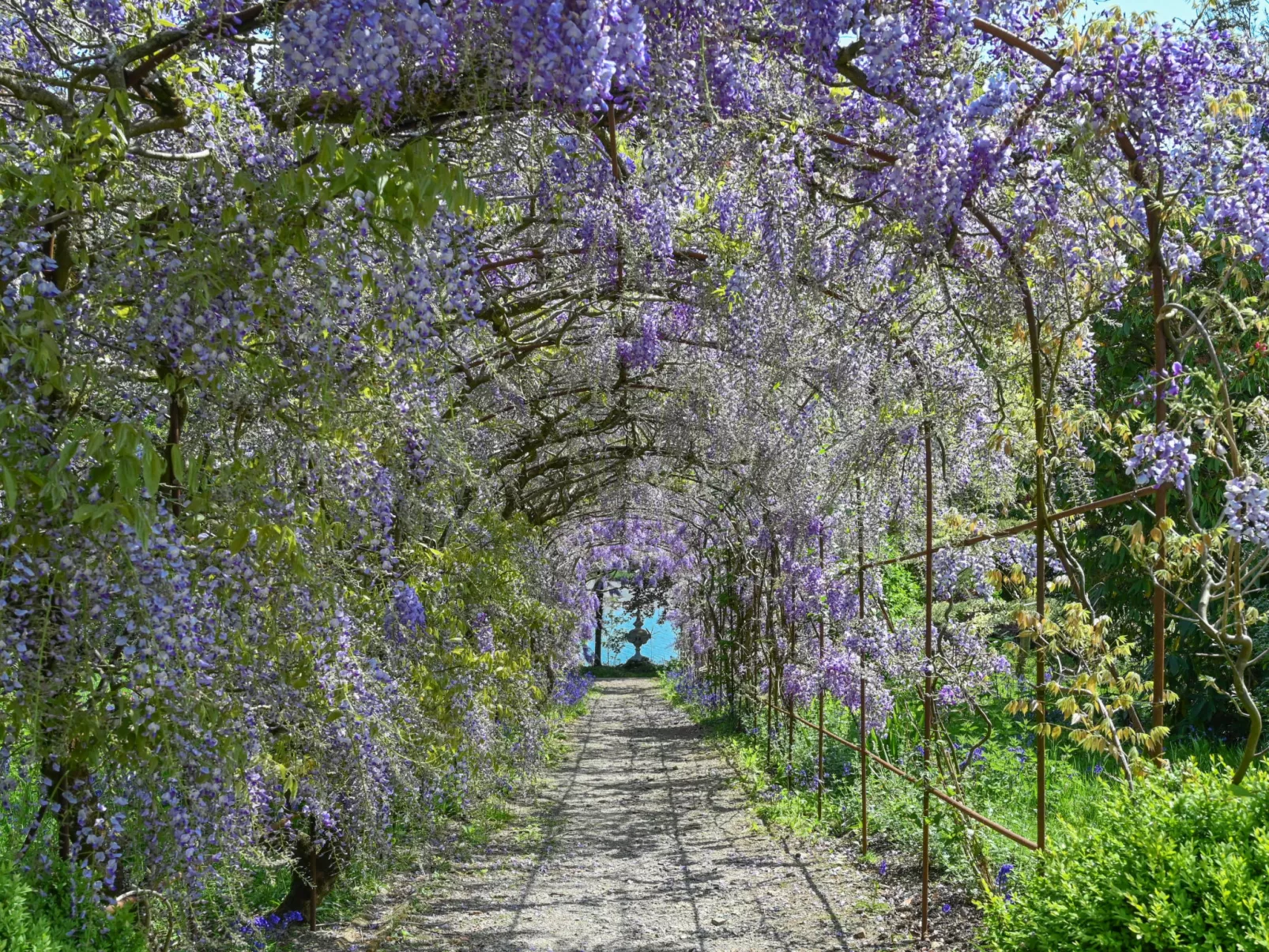 Historic Castle on River Tamar-Draußen