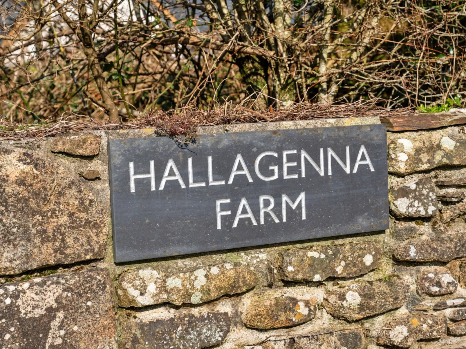 Trippet Cottage at Bodmin Moor-Dehors