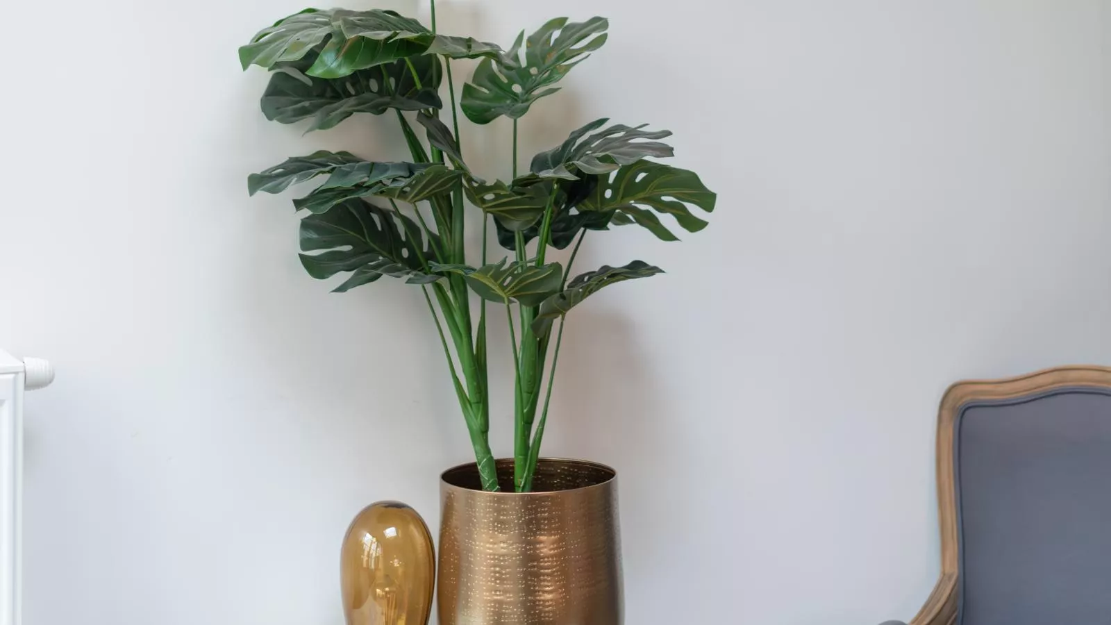 Huis Hendrik Geeraert-Wohnzimmer