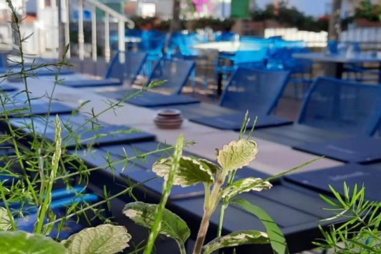 Peaceful Apartments With Style - One Bedroom Apartment-Outdoor