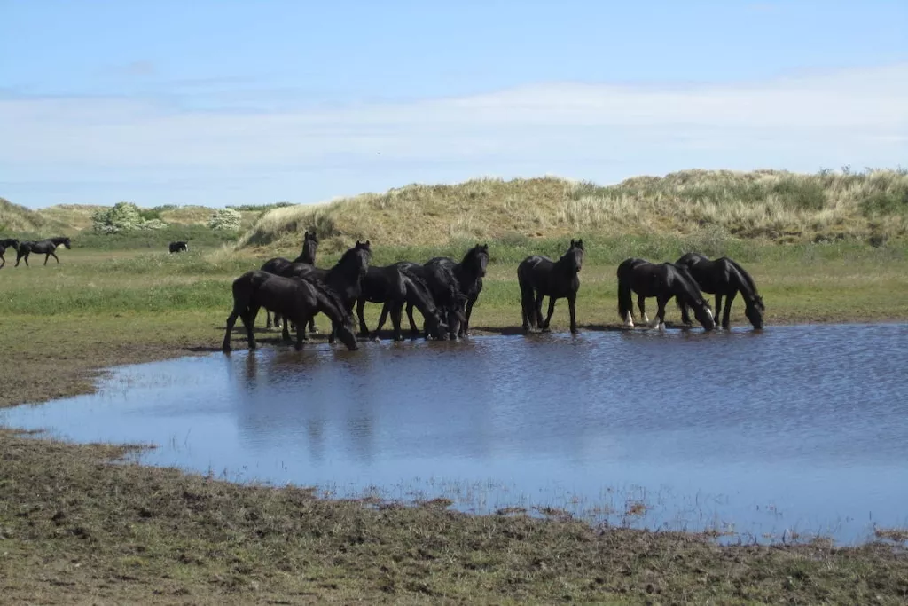 44615-Nicht zugeordnet