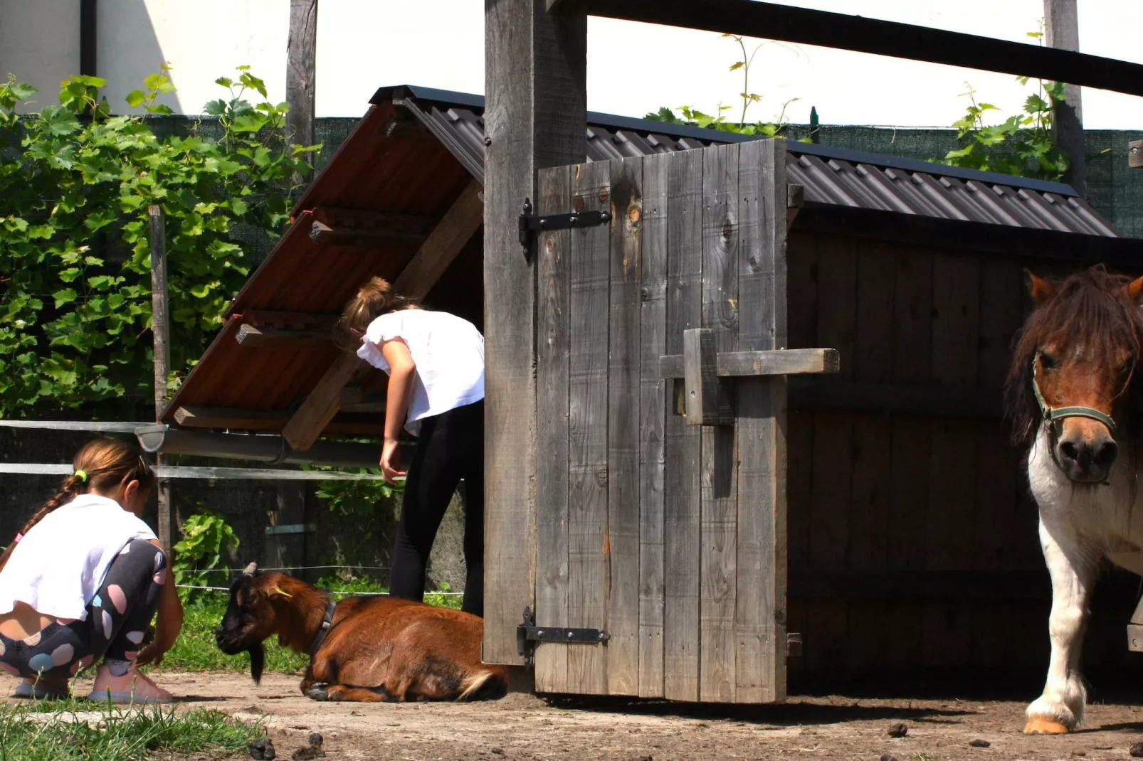 Zevnik Quiet Retreat with Stunning Views and Equestrian Activities - Triple Room with Private  Bathroom-Outdoor