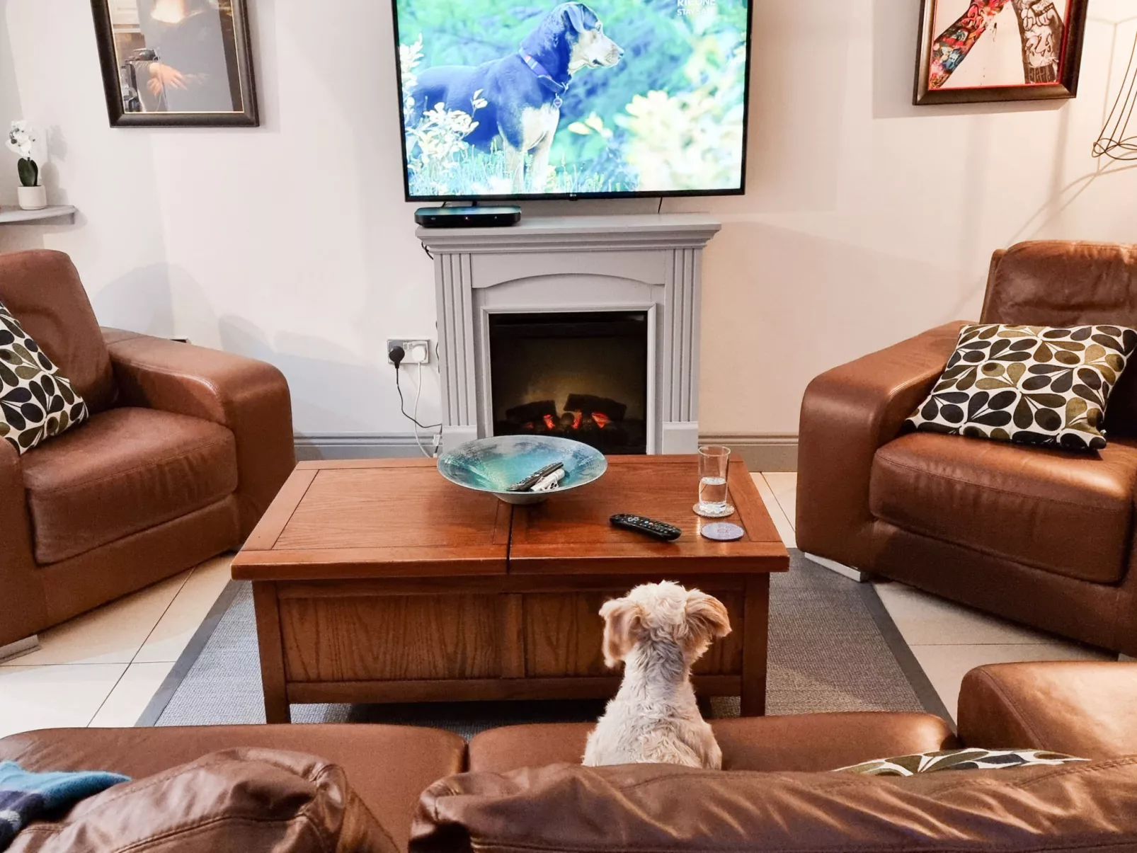 Passage East Holiday Home-Drinnen