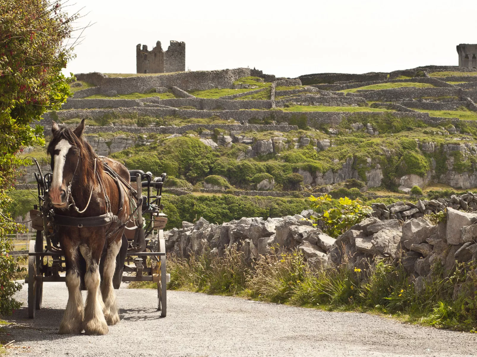 Galway Bay (TR4)Lodge-Outside