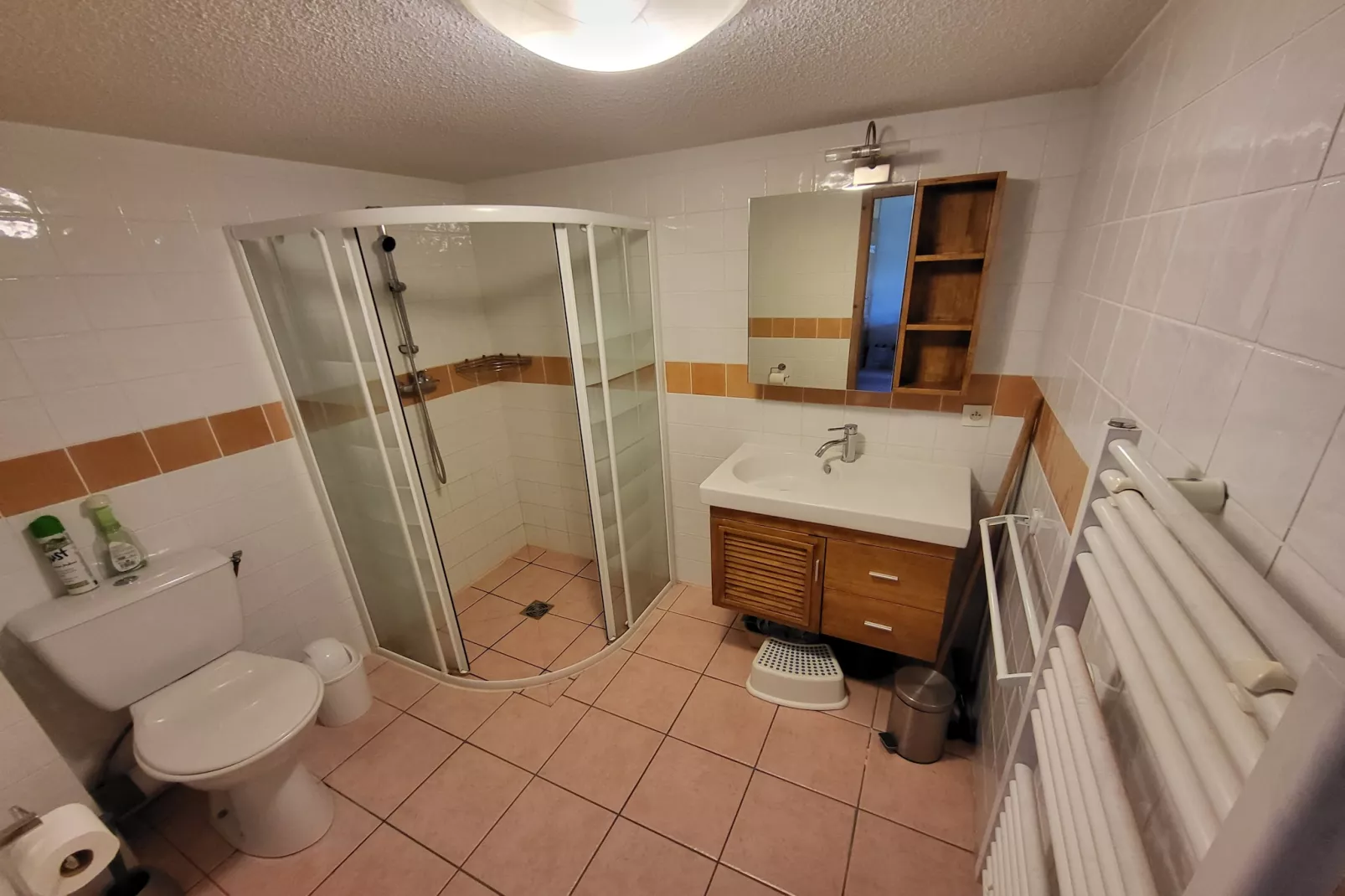 Jardins Alpins A N°20 - 2P6 - Badezimmer