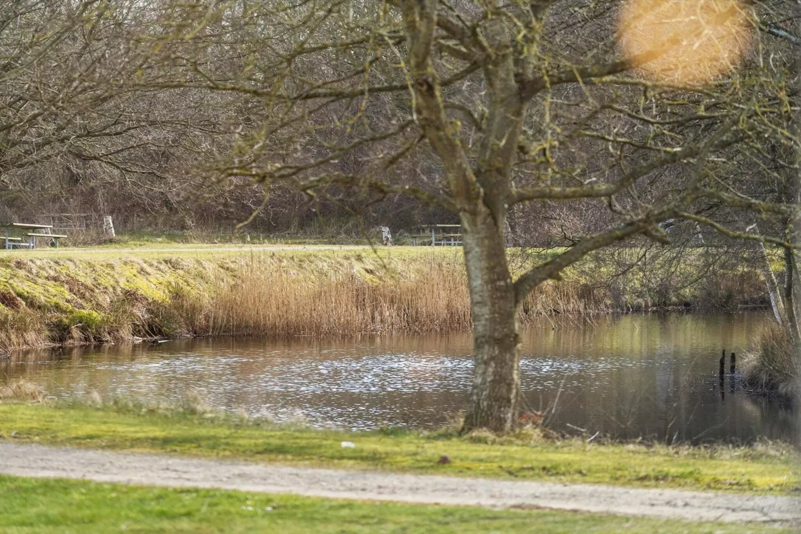 4 star holiday home in Ringkøbing-Outdoor