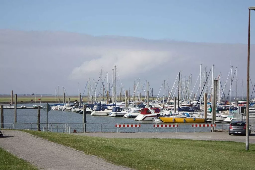 268484-Nicht zugeordnet