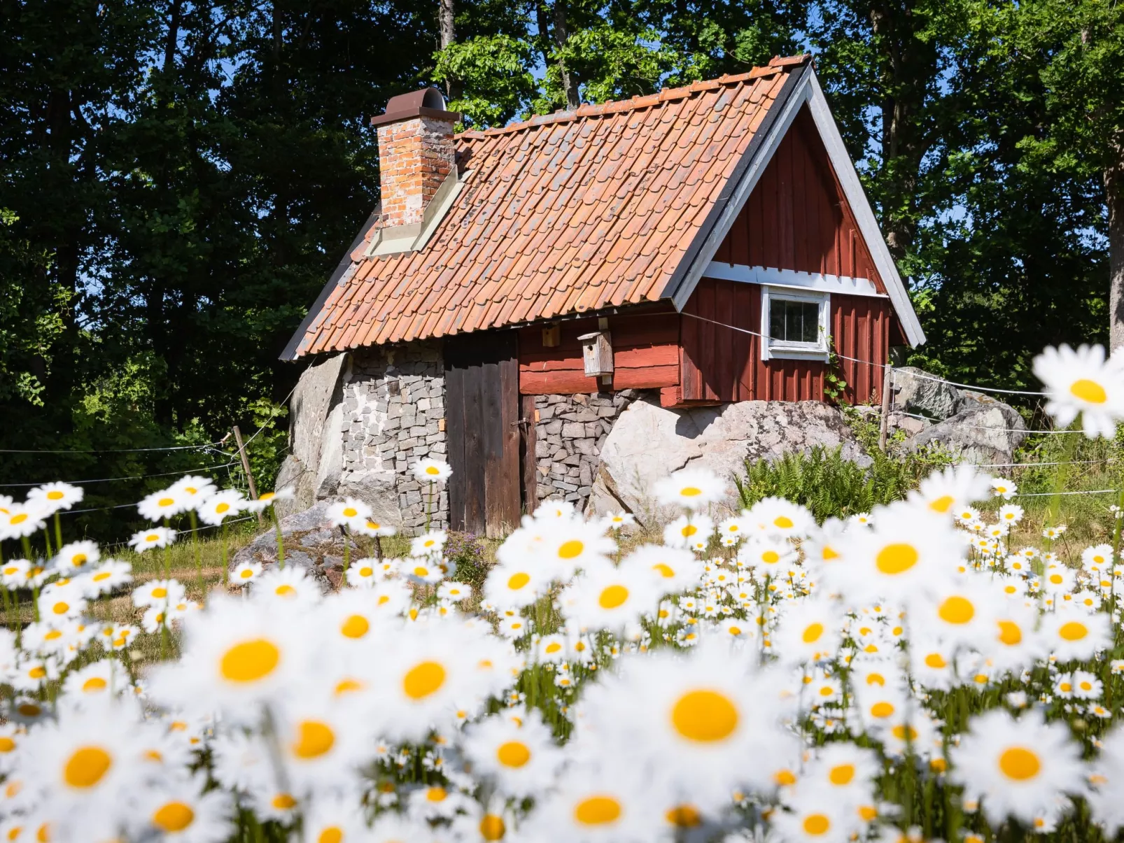 Matvik-Outside