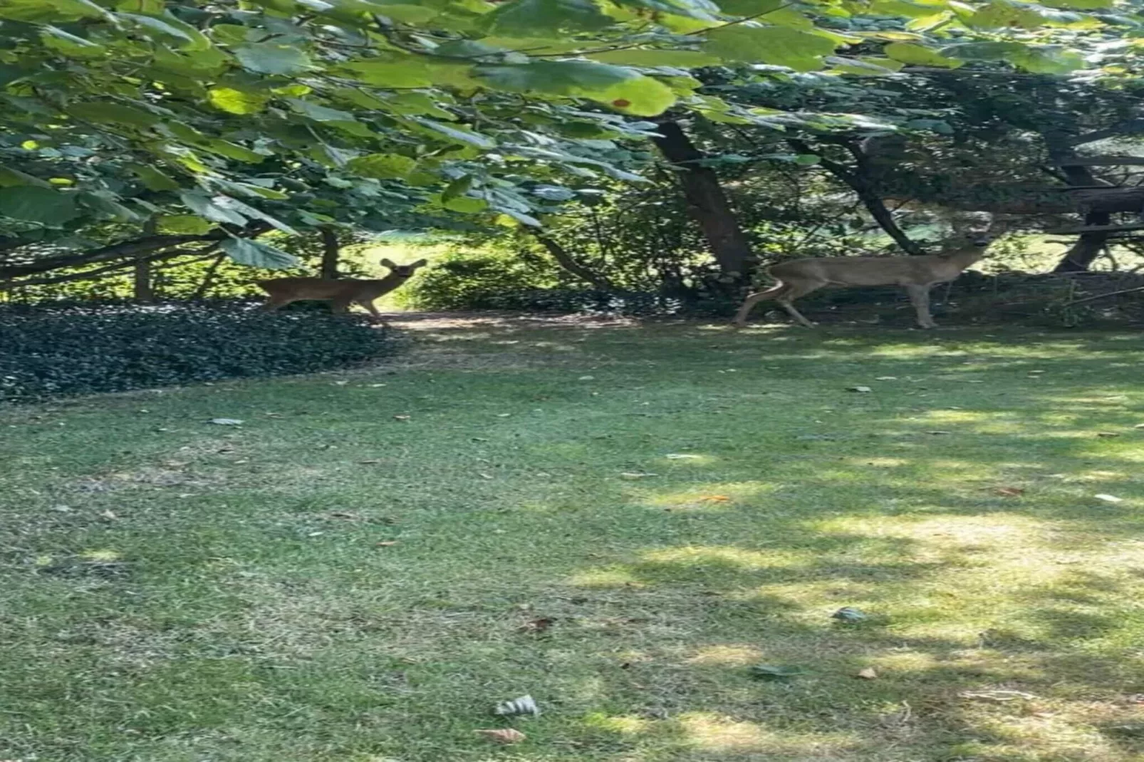 5 star holiday home in Vordingborg-Untagged