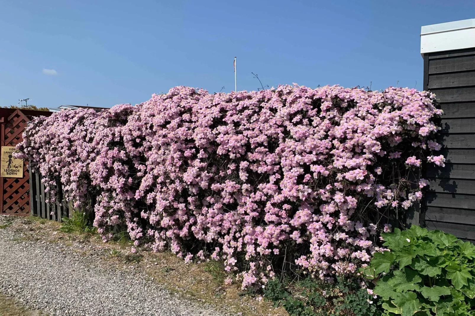 5 Sterne Ferienhaus in Otterup-Nicht zugeordnet